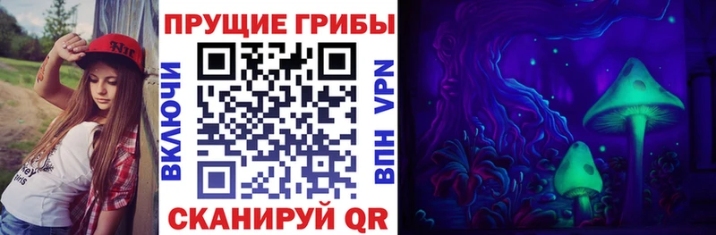 Псилоцибиновые грибы Psilocybine cubensis  Абакан 